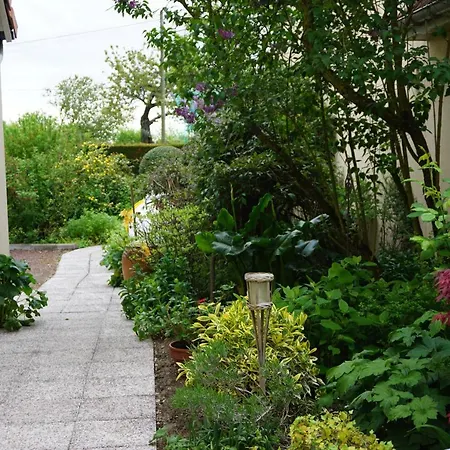 Le Champ Du Petit Bois Bed & Breakfast Surfonds