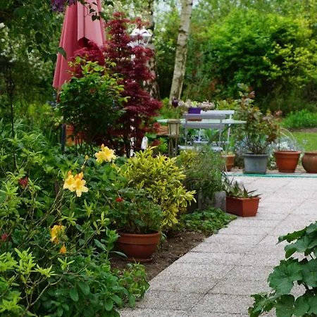 Le Champ Du Petit Bois