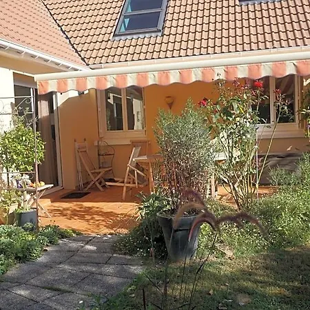 Le Champ Du Petit Bois Surfonds