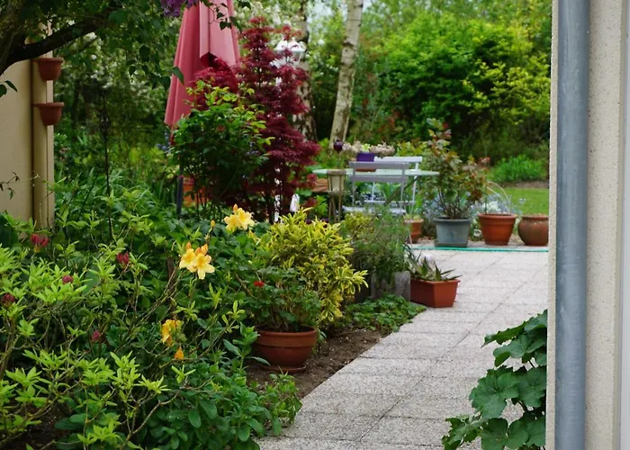 Le Champ Du Petit Bois