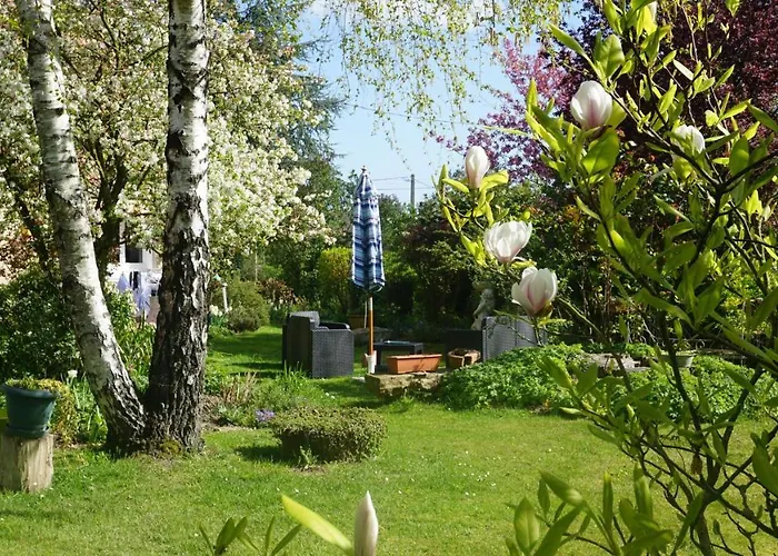 Le Champ Du Petit Bois Bed & Breakfast